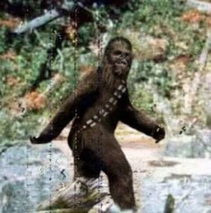 Meet your Posher, Donovan